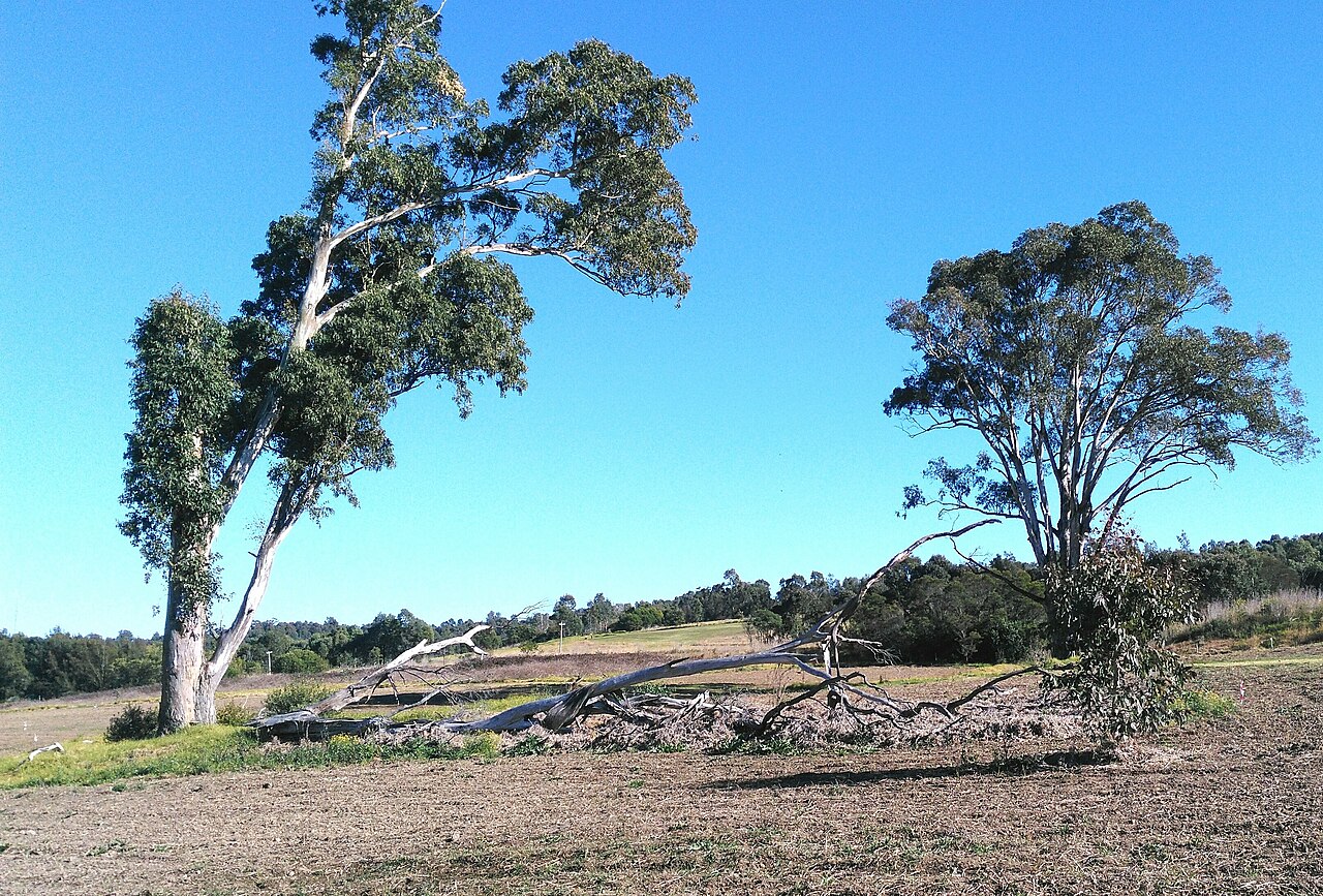 Western Sydney landscape