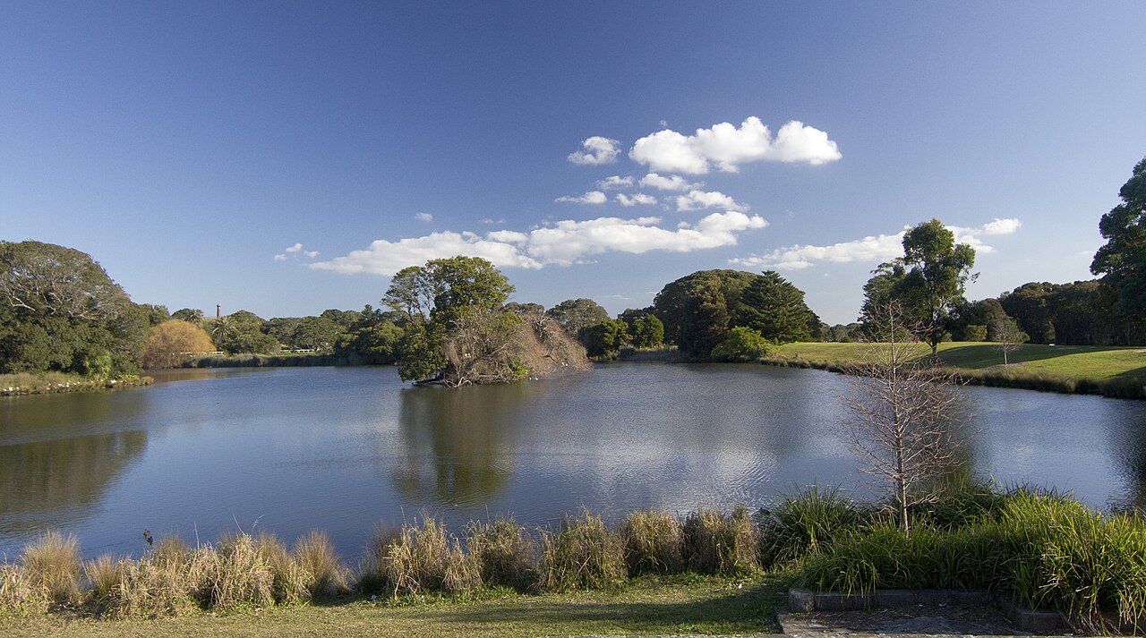 Eastern Suburbs and Central Sydney landscape